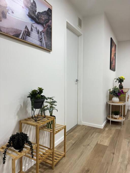 אוקלנד Stunning 3 Bd - 2 Bth City Apt - Pool & Carpark מראה חיצוני תמונה