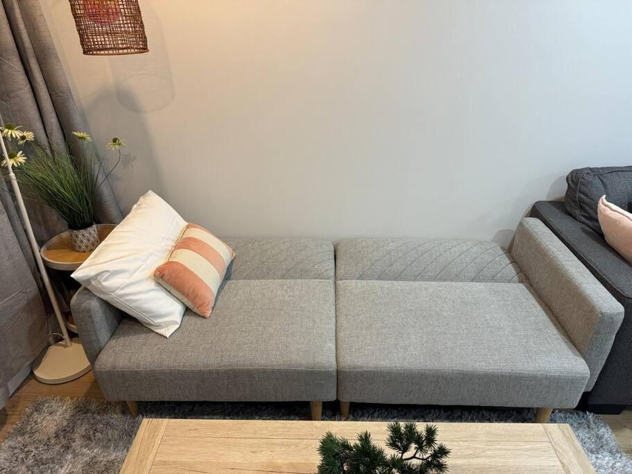 אוקלנד Stunning 3 Bd - 2 Bth City Apt - Pool & Carpark מראה חיצוני תמונה
